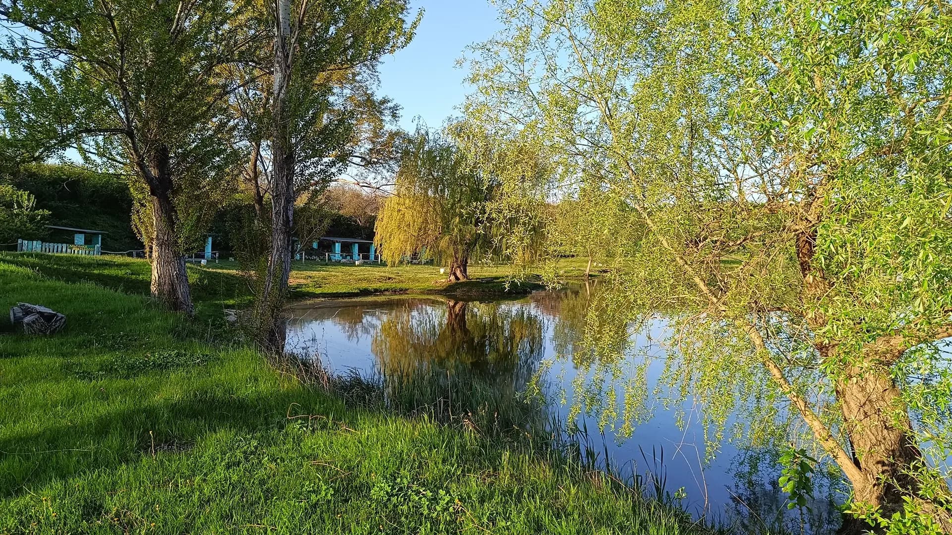Фото садиби 4